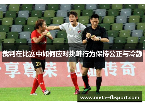 裁判在比赛中如何应对挑衅行为保持公正与冷静